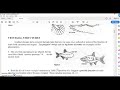 Evolutionary Biology Concepts and Structures