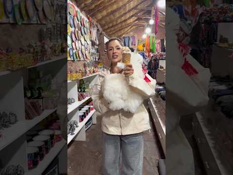 Vou levar uma mini zuzu para a zuzu #nathaliavalente #story #zuzu #thales