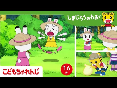 【16分アニメ】みみりんが二人！？森のおともだち | 夏休み・ファンタジー | しまじろうのわお！アニメ | しまじろうチャンネル公式