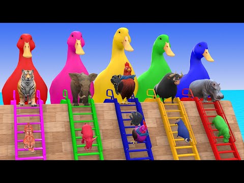 Long Slide Game With Elephant Gorilla Buffalo Hippopotamus Tiger 3d Animal Game Funny 3d Animals