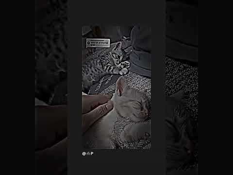 kenapa sih manusia ini 😭😭😭