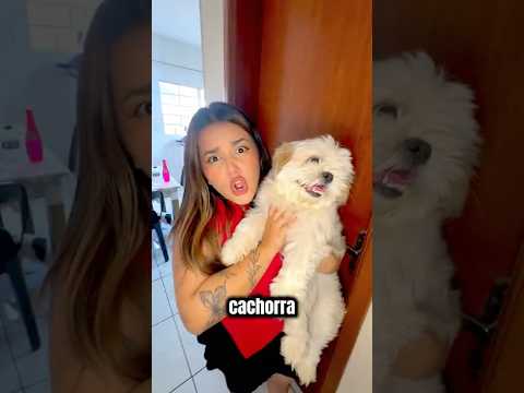 A MINHA CACHORRA ODEIA O FELCA! 🤬 #shorts - Ana Adati