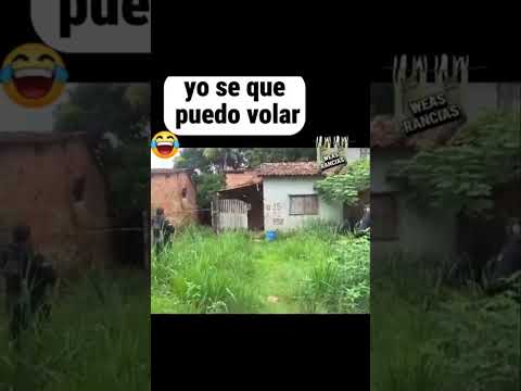 SI TE RIES PIERDES🤡| MOMENTOS XD