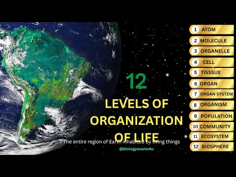 12 Levels of Organization of Life in Ecology? in 4 Minutes