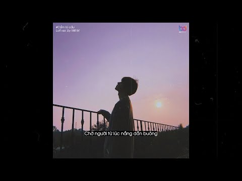 Cẩm Tú Cầu (Lofi Ver.) - RayO x Huỳnh Văn x Will M | Chờ người từ lúc nắng dần buông | Lyrics Video