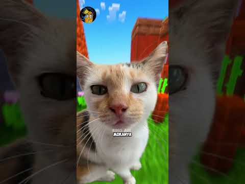Lu Ketawa, Lu Berangkat Sekolah Jam 10 - Tahan Tawa (Part 201)