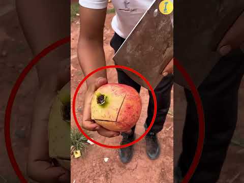 Genius Trick to Cut Pomegranate 😲