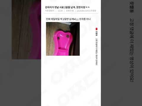 맨날 사료를 두 알씩 남기는 강아지...