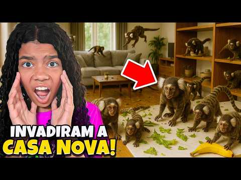 MACACOS INVADIRAM A CASA NOVA!! 😱 *assista até o final