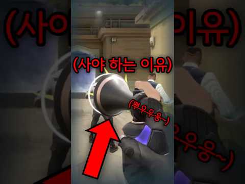 이게 발로란트에 나온다고?