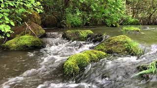 Relaxation and Meditation #1: A small rapid in flowing water
