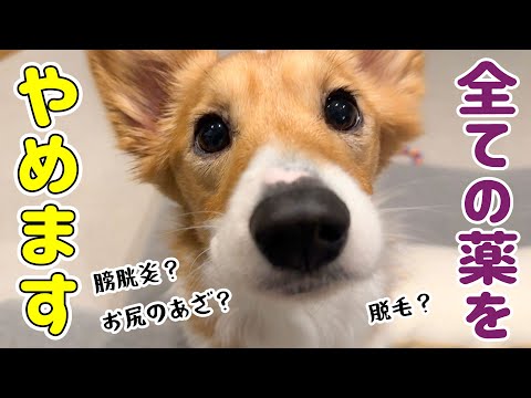 【再診日】ついについについにこの日が来ました！！！