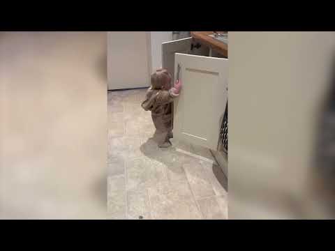 Toddler's Hilarious Cat Feeding Misses One Tiny Step