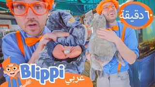 التّعرّف على الحيوانات البحريّة مع بليبّي | برنامج بليبي التعليمي | Blippi - بليبي بالعربي
