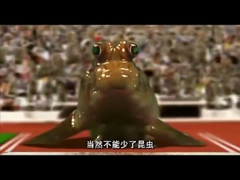 Animal Olympic Games_動物運動會(夏季)