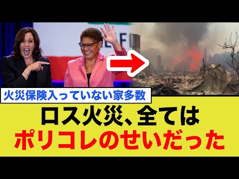 ロス火災の真実！？ポリコレのせいだった