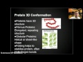 Protein Structure and Function Concepts