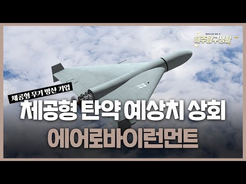 [해주탐구생활] 🇨🇳POPMART(9992 HK) 블라인드 박스 규제 언급 / 🇺🇸에어로바이런먼트(AVAV) 미국의 방산기업