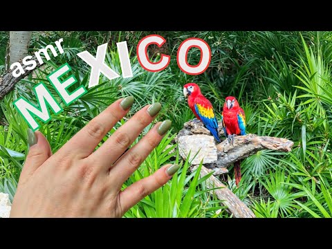 Public ASMR in Mexico 🇲🇽 Xelha Taps