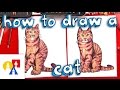 Drawing and Coloring a Cat