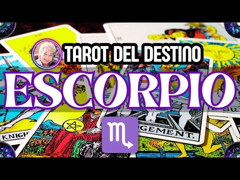 ESCORPIO HOY ♏️ QUIERES LUCHAR POR ESTE AMOR, CELEBRAR Y SER FELIZ | Tarot del Destino #escorpio