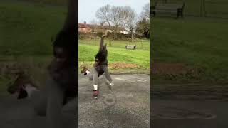 You Won’t Believe the Final Fall 😂 #funnyfails #epicfails #girlfails #topfails #funnyfalls