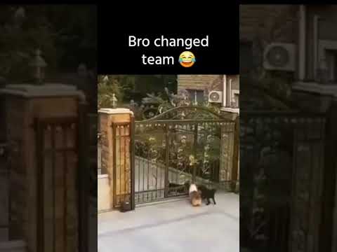 patti ser plate thirichuu😹🙌 #sayipop #malayalamcomedy #biggbossmalayalam #thoppi