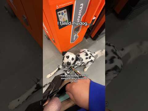 I failed my dog during training yesterday…