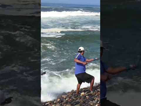 El mar les dio una sorpresa gigante: ¡llenaron la red en un solo tiro!