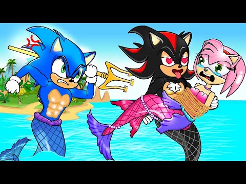 Sonic And Amy's Beautiful Past Love - Sonic 2D Animation