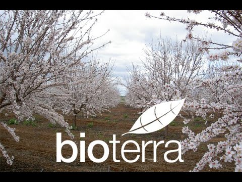 Video de empresa de Bioterra - Productores de Frutos Secos