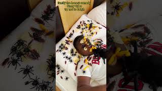 Eating spider cockroach ant stop motion Funny video Try not to laugh asmr mukbang in london uk home