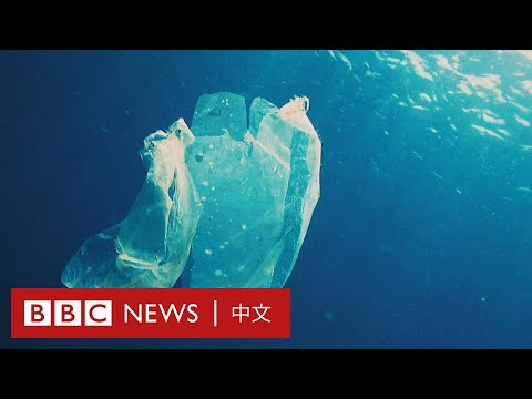 塑料袋冷知識：原來膠袋起初是一項環保的工具！－ BBC News 中文 - YouTube