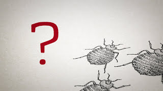 Dominion &#038; Bed Bugs | YouTube Video