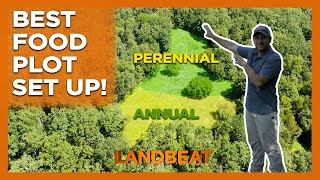 Food Plot Set Up And Architecture | Mid Summer Deer Prep