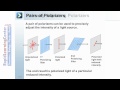 Polarizing Filters and Malus's Law