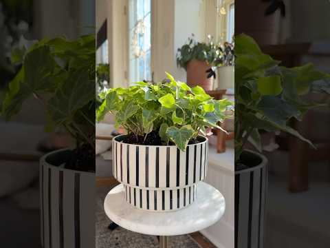 IKEA Hack Self Watering Planter #diy #plantstyling #houseplantslover #plantcare