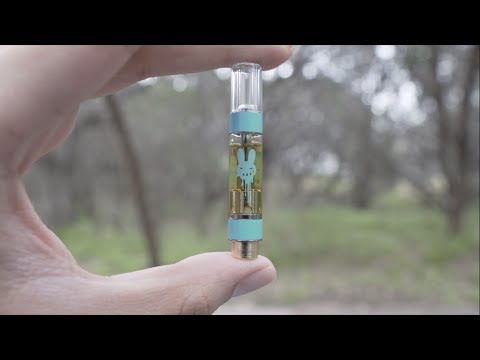 1 GRAM CARTRIDGE IN ONE SITTING