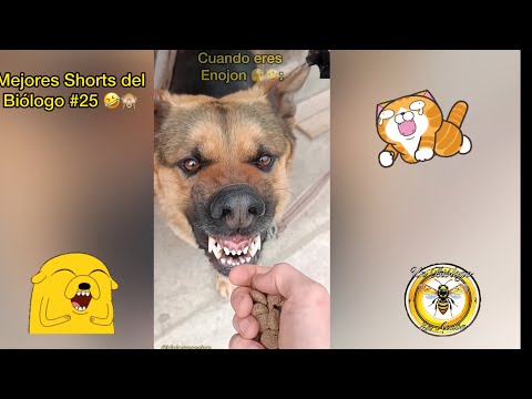 Mejores Shorts del Biólogo #26 😹🙊| Final inesperado 🤣