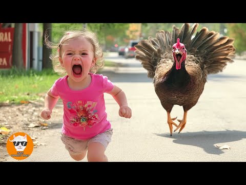 Oh My God!!! BABY Crying Shock with Animals At The Farm #2 - Funny Baby Videos | Just Funniest