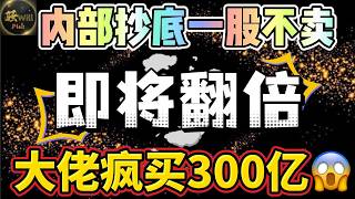 美股投资 下一个PLTR?!大佬突然出手重仓买入!内部人士抄底即将翻倍 最后的买入机会别错过