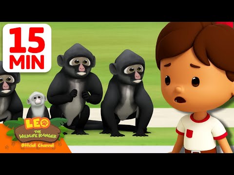 Monkey Family Crossing the Road! 🐵🐒 | 15 Min | Leo the Wildlife Ranger | #animals
