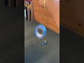 Understanding the Video Transcript