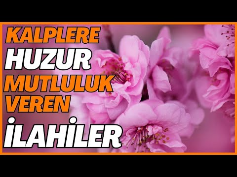 KALPLERE HUZUR MUTLULUK VEREN İLAHİLER | EN GÜZEL İLAHİLER