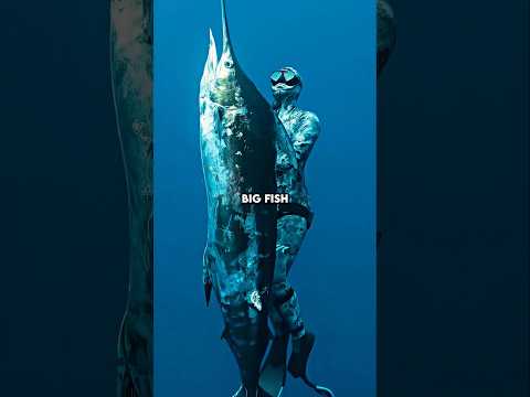 California's Most Dangerous Spearfishing Spot 😱