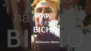 Trecho do episódio VNPS 104 #podcast
