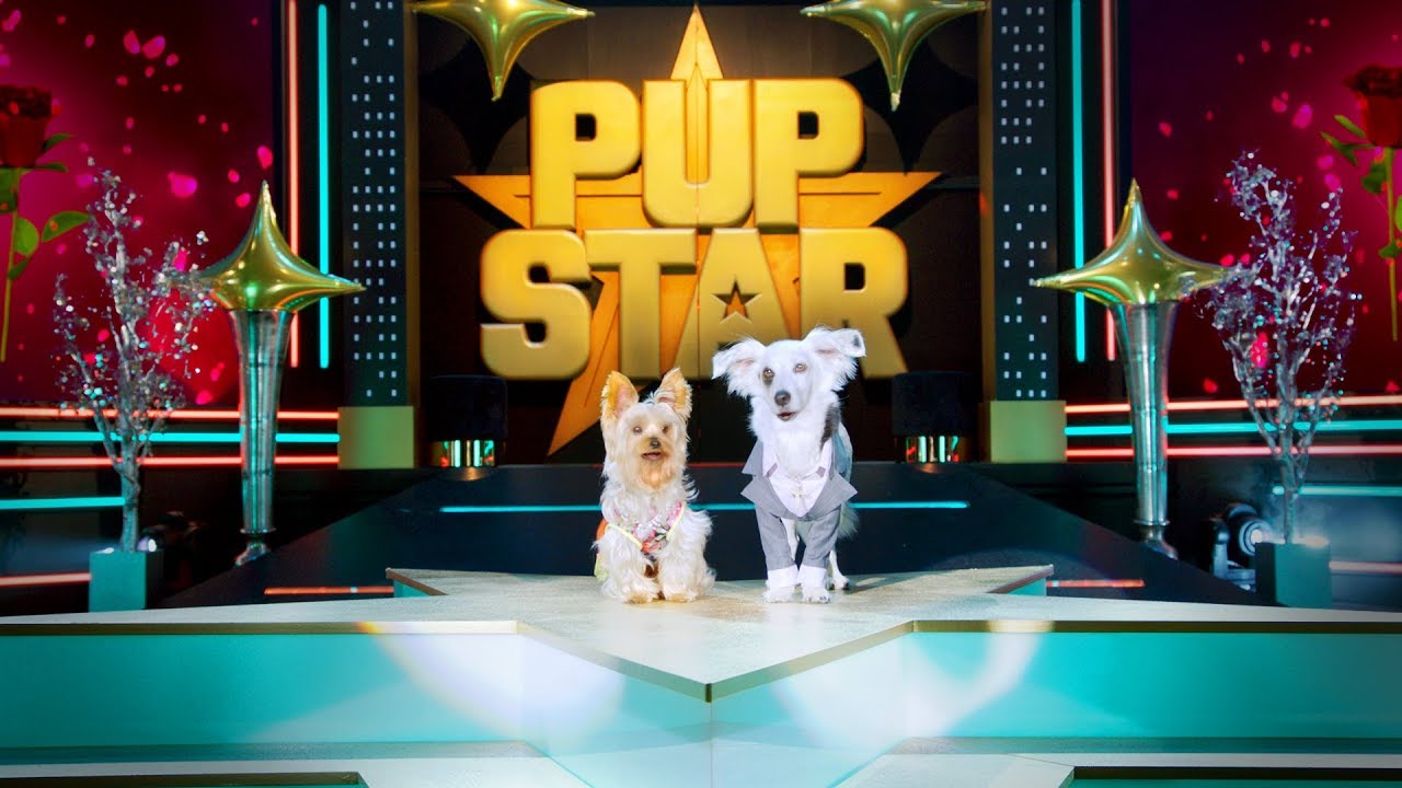Pup Star: På verdensturné Trailer miniatyrbilde