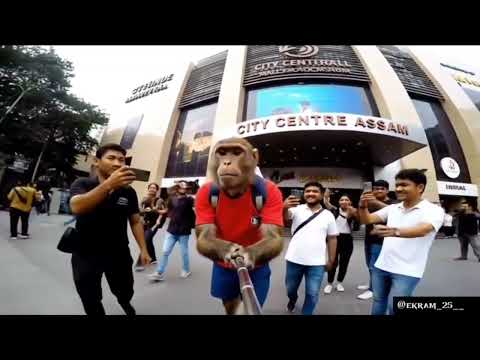 Ai edit video monkey block 🐵 pasand aaye to like and subscribe kar dena bhai 🥹❤️🩹