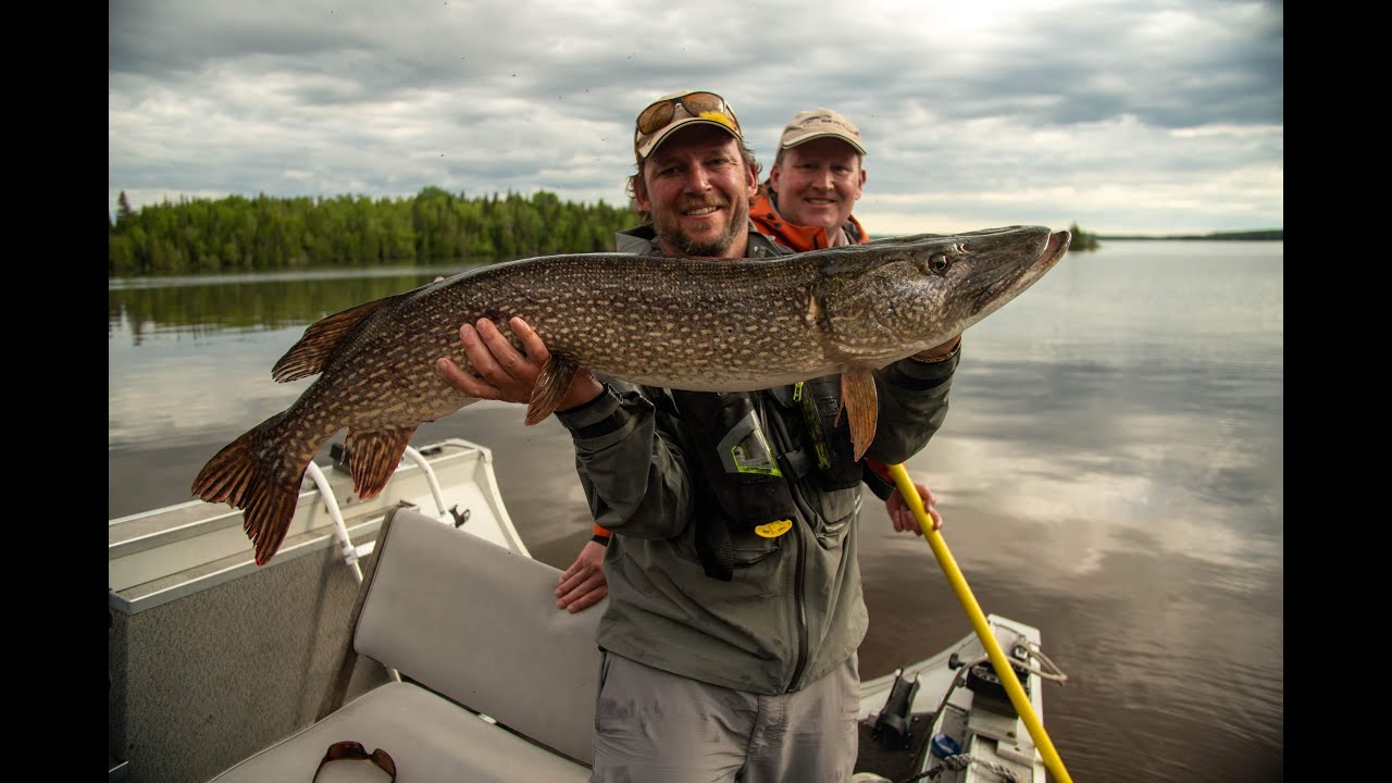 Northern Ontario Trophies - Pike and Smallies - The New Fly Fisher