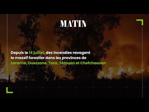 Video : Incendies : Comment le Maroc gère les feux de forêts 